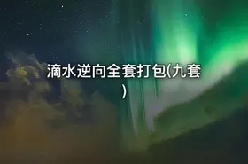 滴水逆向全套打包(九套) - getfromcode