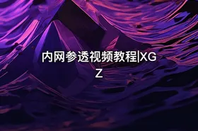 内网参透视频教程|XGZ
