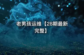 老男孩运维【28期最新完整】