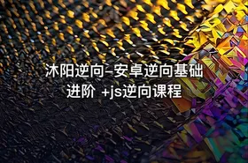 沐阳逆向-安卓逆向基础进阶 +js逆向课程