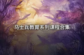 马士兵教育系列课程合集