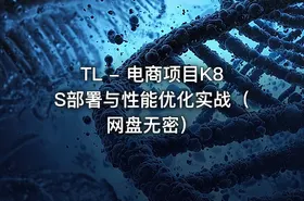 TL - 电商项目K8S部署与性能优化实战（网盘无密） - getfromcode