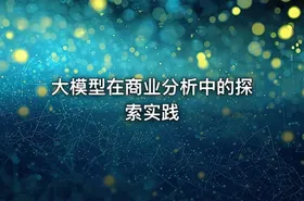 大模型在商业分析中的探索实践