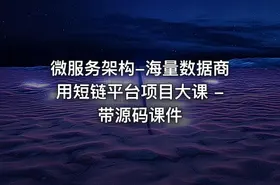 微服务架构-海量数据商用短链平台项目大课 - 带源码课件