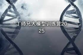 丁师兄大模型训练营2025