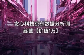 贪心科技京东数据分析训练营【价值1万】