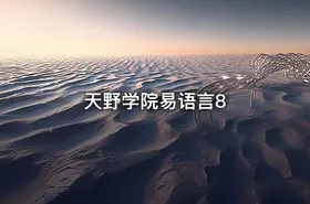 天野学院易语言8