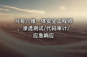 马哥六维一体安全工程师，渗透测试/代码审计/应急响应