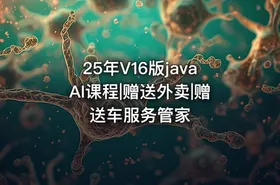 25年V16版javaAI课程|赠送外卖|赠送车服务管家