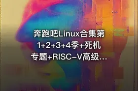 奔跑吧Linux合集第1+2+3+4季+死机专题+RISC-V高级+arm64高级+vim+git - getfromcode