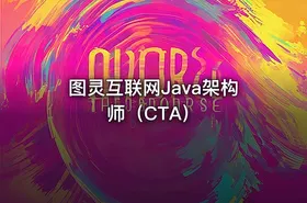 图灵互联网Java架构师（CTA）