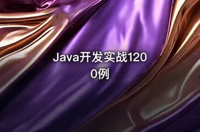 Java开发实战1200例 - getfromcode