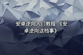 安卓逆向入门教程 《安卓逆向这档事》