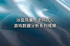 浴血凤凰 -逆向LOL游戏数据分析系列视频
