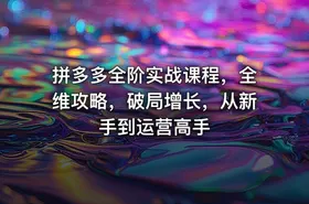 拼多多全阶实战课程，全维攻略，破局增长，从新手到运营高手