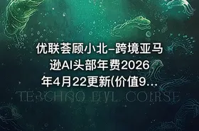 优联荟顾小北-跨境亚马逊AI头部年费2026年4月22更新(价值9800元)