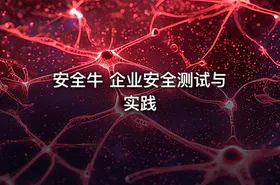 安全牛 企业安全测试与实践