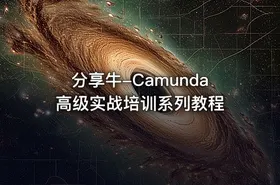 分享牛-Camunda高级实战培训系列教程