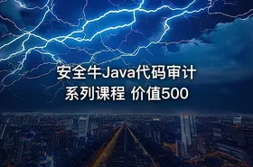 安全牛Java代码审计系列课程 价值500