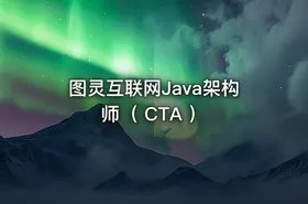 图灵互联网Java架构师（ CTA ） - getfromcode