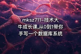 mksz711-技术大牛成长课,从0到1带你手写一个数据库系统