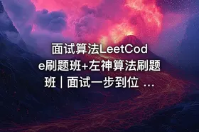 面试算法LeetCode刷题班+左神算法刷题班 | 面试一步到位 | 站长亲测推荐