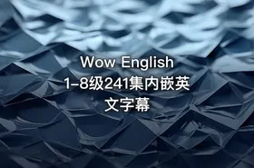 Wow English1-8级241集内嵌英文字幕