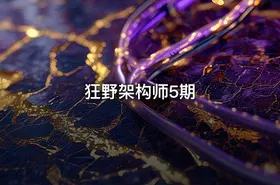 狂野架构师5期