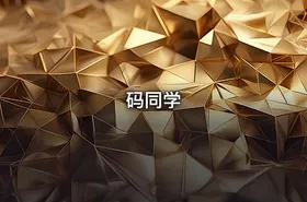 码同学