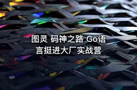 图灵 码神之路 Go语言挺进大厂实战营