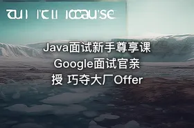 Java面试新手尊享课 Google面试官亲授 巧夺大厂Offer