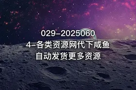 029-20250604-各类资源网代下咸鱼自动发货更多资源