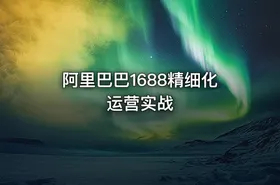 阿里巴巴1688精细化运营实战