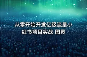 从零开始开发亿级流量小红书项目实战 图灵