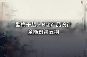 酸梅干超人B端产品设计全能班第五期