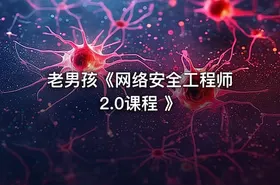 老男孩《网络安全工程师2.0课程 》