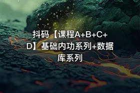 抖码【课程A+B+C+D】基础内功系列+数据库系列