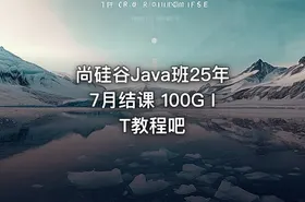 尚硅谷Java班25年7月结课 100G IT教程吧