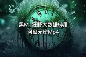 黑M-狂野大数据5期|网盘无密Mp4 - getfromcode