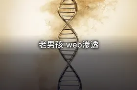 老男孩 web渗透