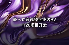 嵌入式音视频企业级RV1126项目开发