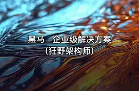 黑马 -企业级解决方案（狂野架构师）