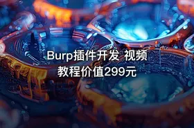 Burp插件开发 视频教程价值299元