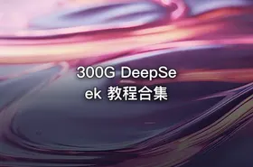 300G DeepSeek 教程合集