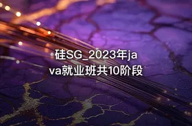 硅SG_2023年java就业班共10阶段