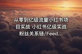 从零到亿级流量小红书项目实战 小红书亿级实战 粉丝关系链/Feed流/高并发架构设计