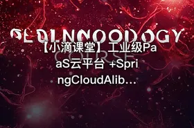 【小滴课堂】工业级PaaS云平台 +SpringCloudAlibaba综合项目实战