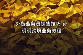 外贸业务员销售技巧 孙明明跨境业务教程