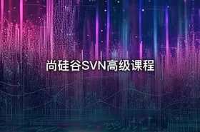 尚硅谷SVN高级课程