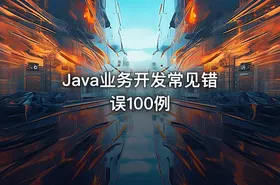 Java业务开发常见错误100例 - getfromcode